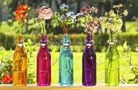 Flowers in colored jars