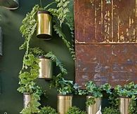 tin can garden