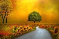 Fall Fantasy