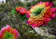 Crepe Paper Flowers