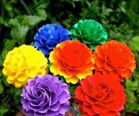 Handmade Paper Roses