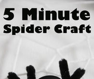 Bead spider craft