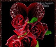 I Love Rose. I Love Fragrance