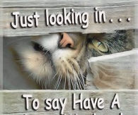 Have a great weekend