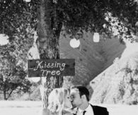 Kissing tree