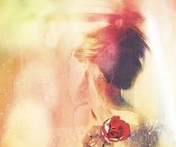 The Rose