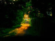 Sunlight, showing the way....