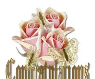 Congratulations