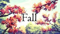 Falling Leaves