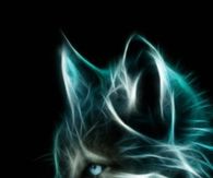 Animated Wolf