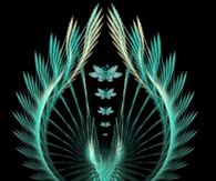 Let your spirit soar
