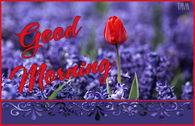 Good Morning