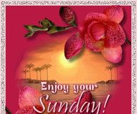 Enjoy Your Sunday