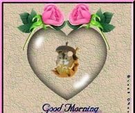 Good Morning My Friend