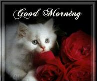 Good Morning Dear Friend