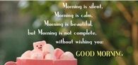 Good Morning