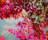Hello Fall