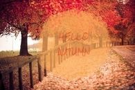 Hello autumn