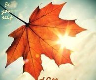 Hello autumn