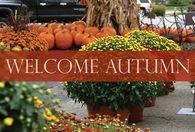 Welcome Autumn