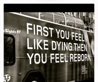 Feeling reborn