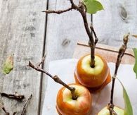 Caramel apples