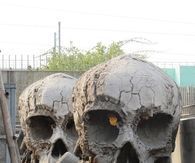 Skull Props