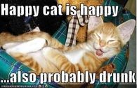 happy kitty