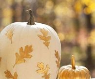 Gold Leaves on White Pumpkins