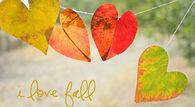 I Love Fall