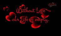Without Love