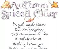 Autumn Spiced Cider