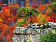 Autumn Shades..Just Beautiful