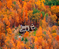 House in the Middle of Fall Trees