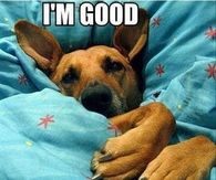 I'm good - Go ahead and go to work.