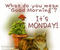 What do you mean Good Morning? It's Monday!