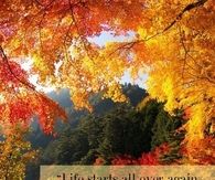 Life starts all over again in fall
