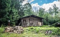 A place in the woods