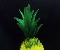 How To Create A Cute Nylon Pineapple 