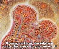 Kissing reduces anxiety
