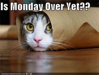 Is Monday over yet