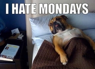 I hate Mondays