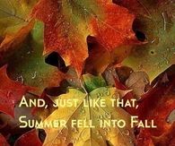 Summer fell into Fall