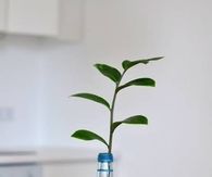 How To Color A Vase