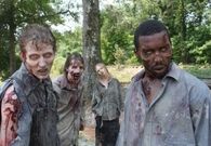 The Walking Dead