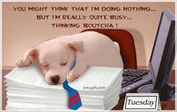 You might think that I'm busy doing nothing but I'm really quite busy thinking boutcha - Tuesday