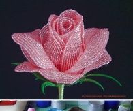 DIY Roses