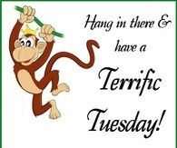 Have a terrific Tuesday
