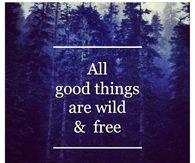 All Good Things