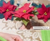 How To Make A Paper Poinsettia